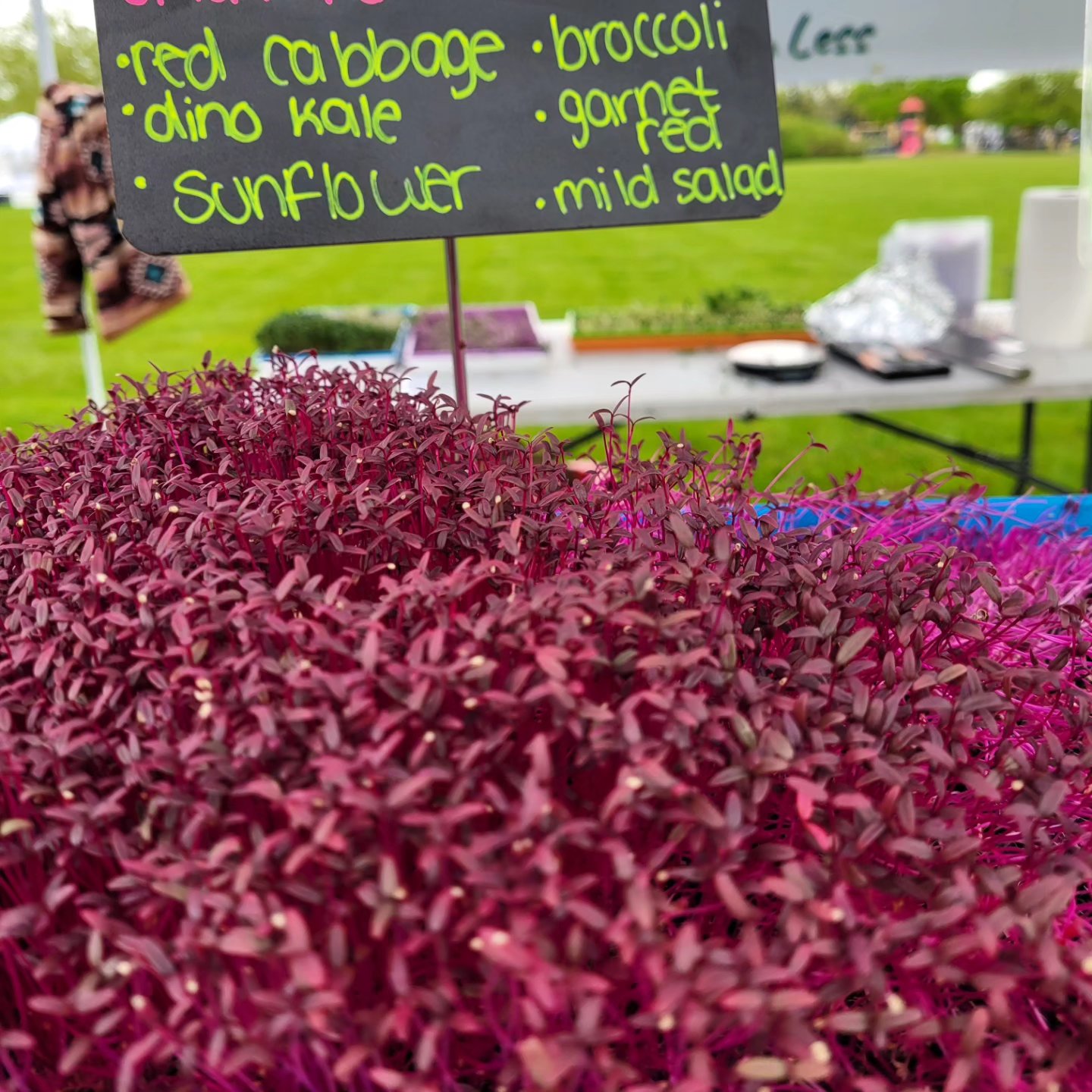 MicrogreenFX event display