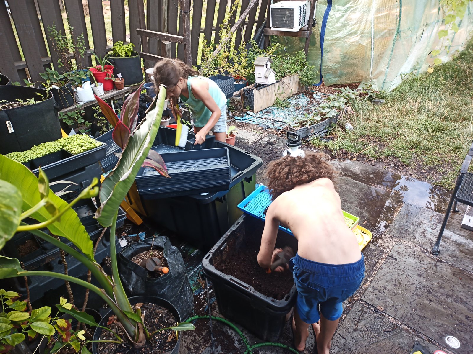 Cleaning and sanitizing trays