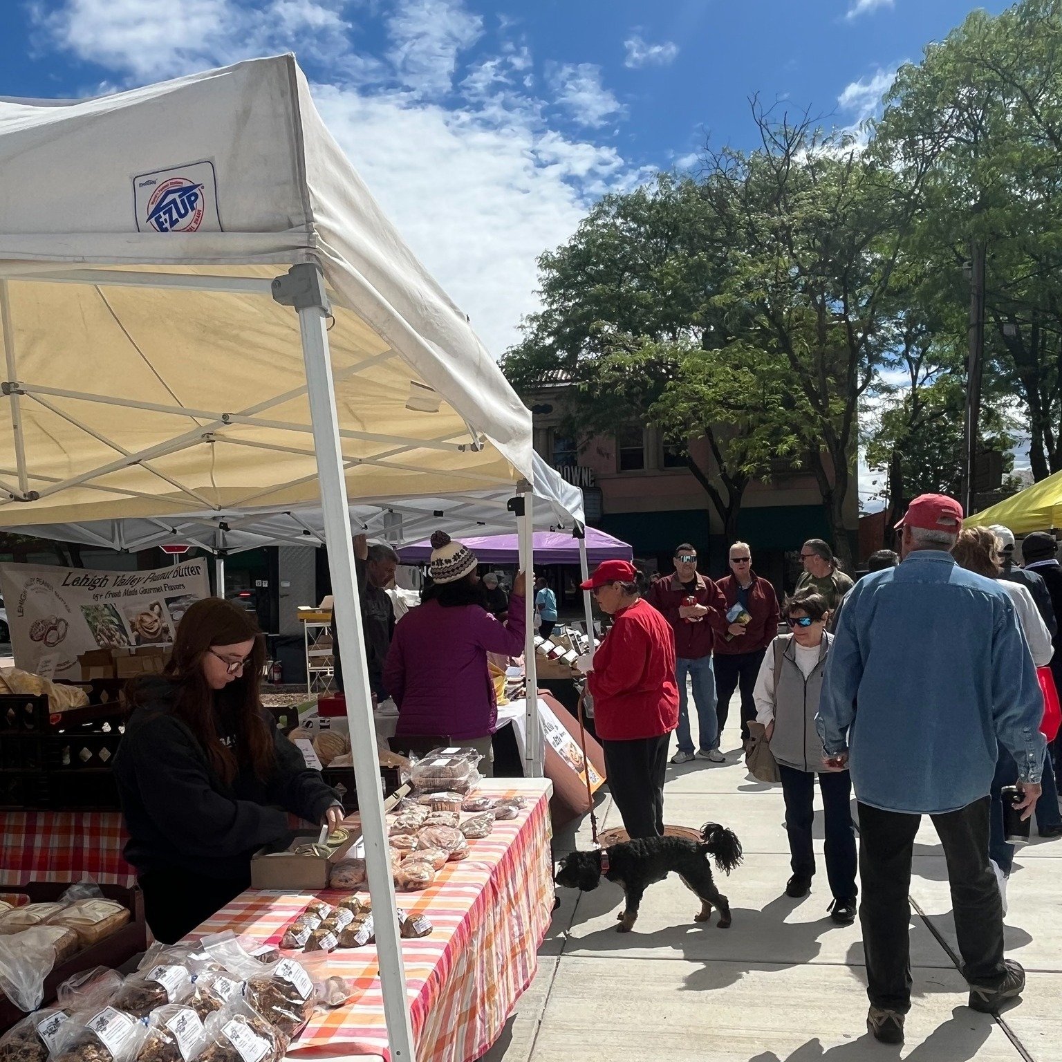 MicrogreenFX at Lansdowne Farmers Market Car Day event Farmers Market with fresh organic microgreens