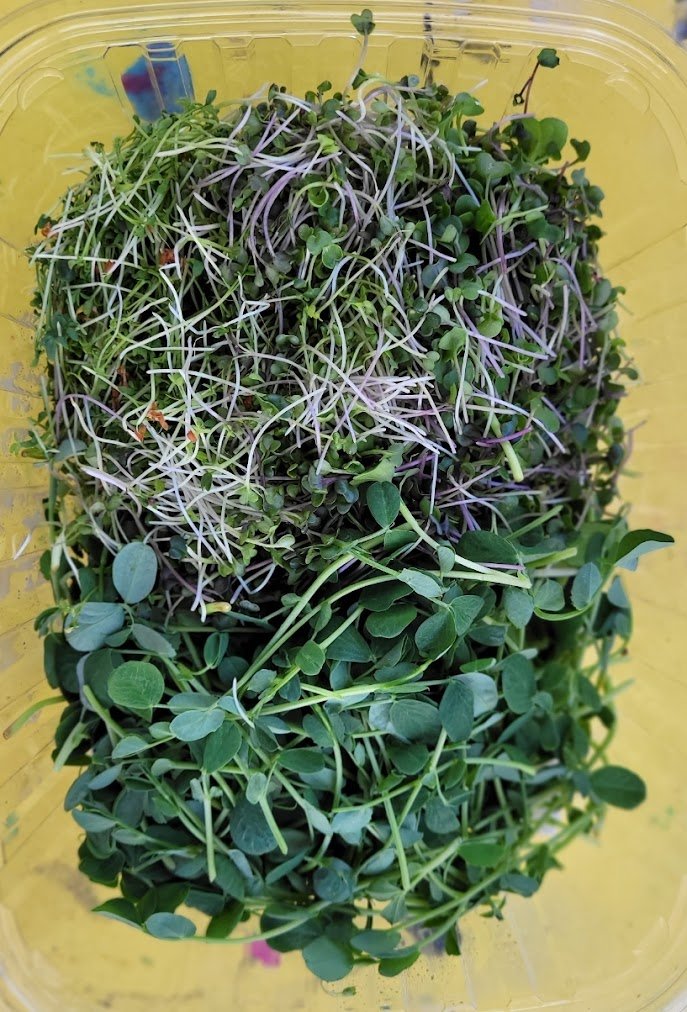 Farmers Blend microgreens served fresh in a bowl, harvested within 24 hours of delivery
