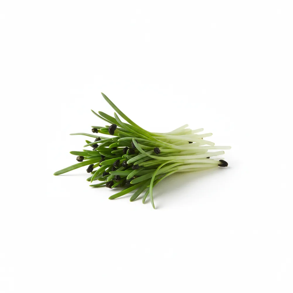 Fresh Leek microgreens