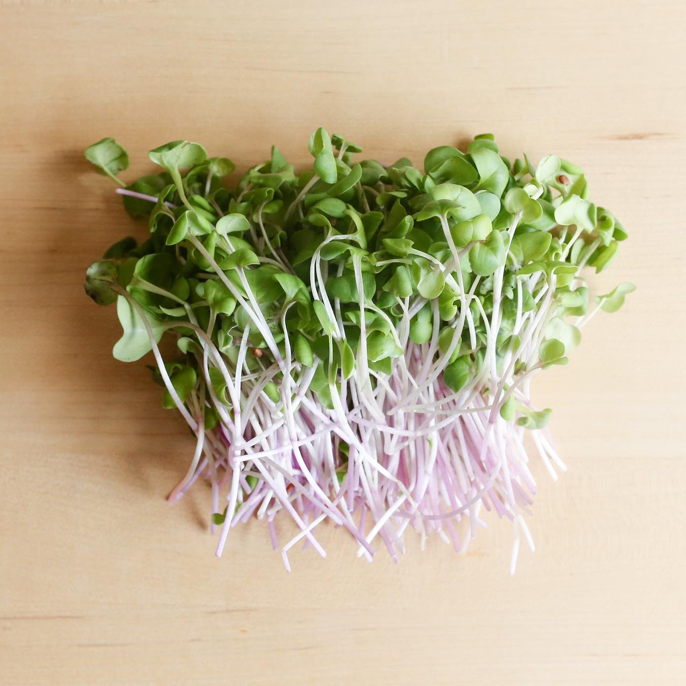 Radish microgreens