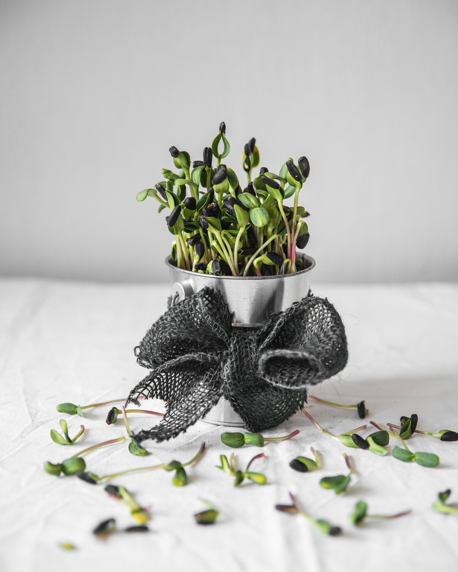 MicrogreenFX Grow Your Own Kit